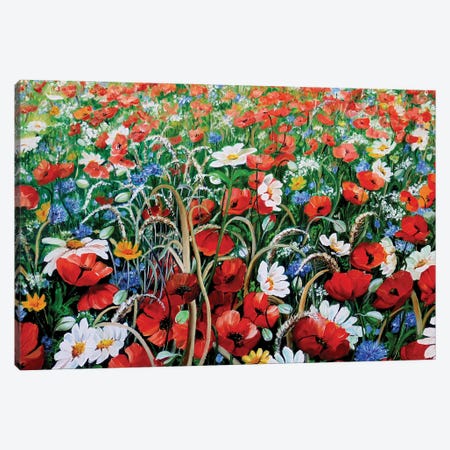 Poppies In The Wild Canvas Print #KDK43} by Karin Dawn Kelshall-Best Canvas Art