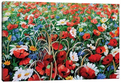 Poppies In The Wild Canvas Art Print - Karin Dawn Kelshall-Best