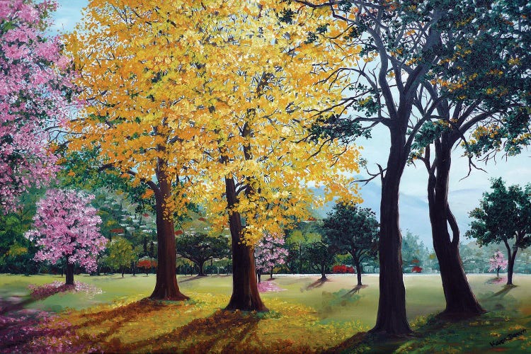 Queens Park Savannah Poui by Karin Dawn Kelshall-Best wall art