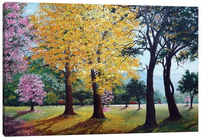 Queens Park Savannah Poui Canvas Art Print - Karin Dawn Kelshall-Best