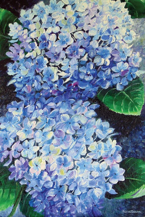 Blue Hydrangea