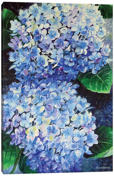 Blue Hydrangea Canvas Art Print - Karin Dawn Kelshall-Best