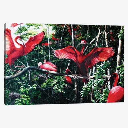 Scarlet Ibis At Roost Canvas Print #KDK52} by Karin Dawn Kelshall-Best Canvas Art Print