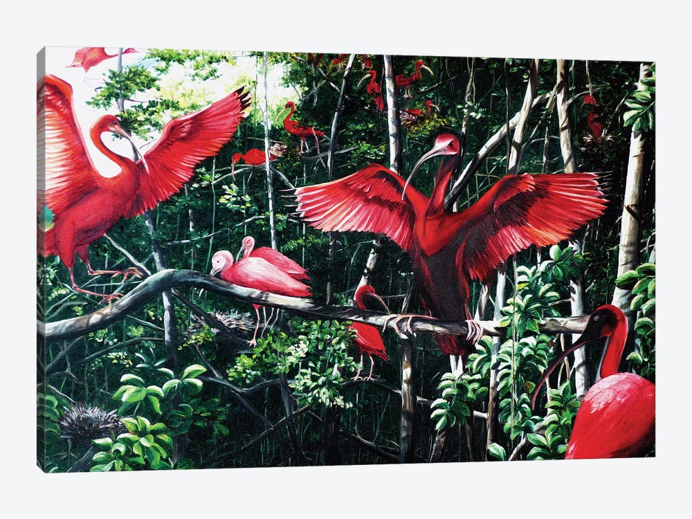 Scarlet Ibis At Roost by Karin Dawn Kelshall-Best 1-piece Canvas Artwork