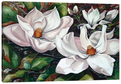 Scent Of The South Canvas Art Print - Magnolia Art