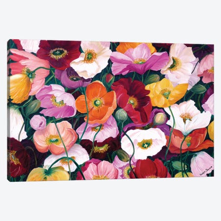 Cascade Of Poppies Canvas Print #KDK9} by Karin Dawn Kelshall-Best Art Print