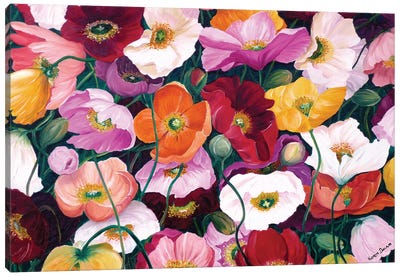 Cascade Of Poppies Canvas Art Print - Karin Dawn Kelshall-Best