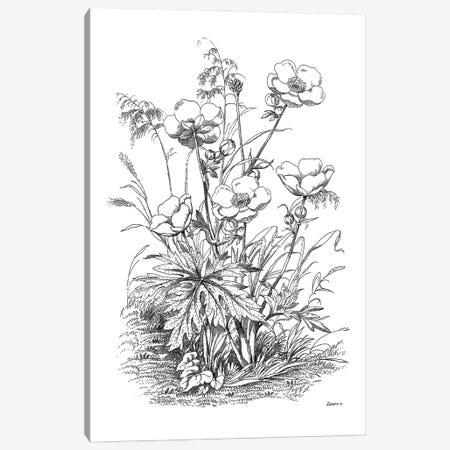 Botanical Black And White IV Canvas Print #KDO10} by Kelly Donovan Canvas Print