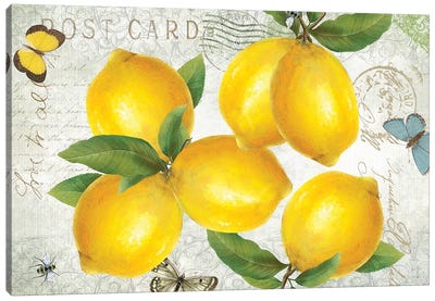 Postcard Lemons Canvas Art Print - Fruit Art