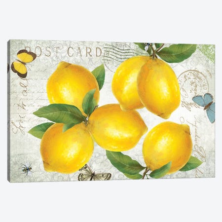 Postcard Lemons Canvas Print #KDO26} by Kelly Donovan Canvas Print