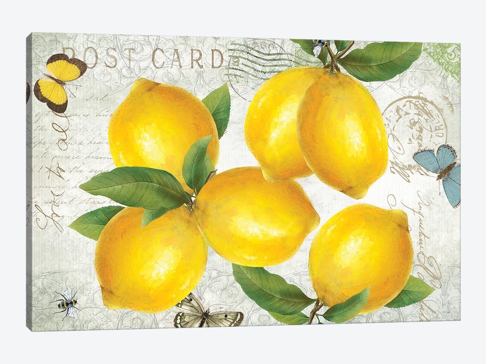 Postcard Lemons by Kelly Donovan 1-piece Canvas Wall Art