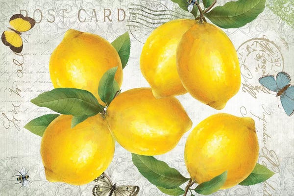 Food & Drink Still Life: Postcard Lemons by Kelly Donovan