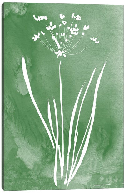 Green Botanical II Canvas Art Print - Minimalist Flowers