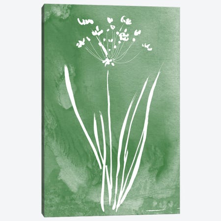 Green Botanical II Canvas Print #KDO48} by Kelly Donovan Canvas Art