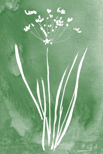 Minimalist Flowers: Green Botanical II by Kelly Donovan