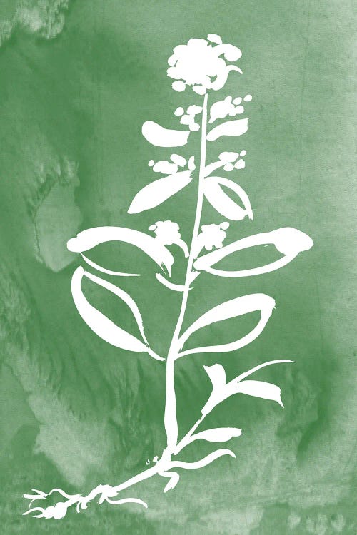Green Botanical III by Kelly Donovan wall art