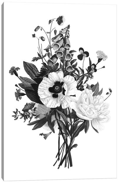 Botanical Black And White III Canvas Art Print - Science Art