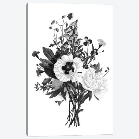 Botanical Black And White III Canvas Print #KDO9} by Kelly Donovan Canvas Art Print