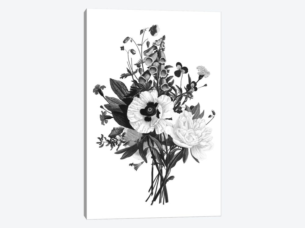 Botanical Black And White III by Kelly Donovan 1-piece Art Print