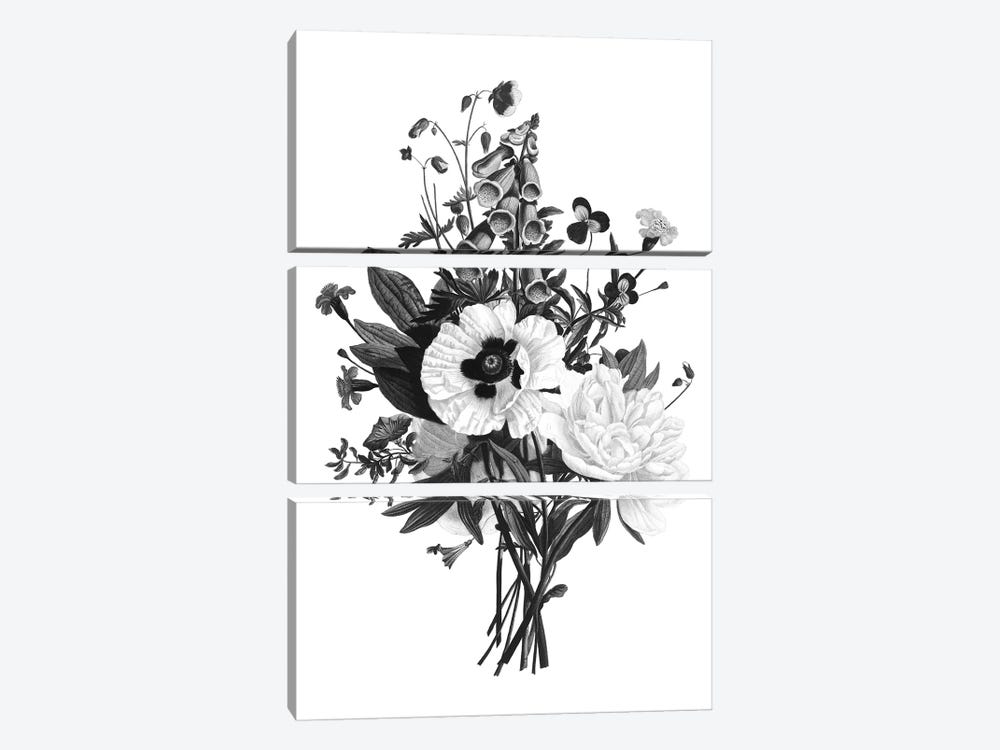 Botanical Black And White III by Kelly Donovan 3-piece Art Print