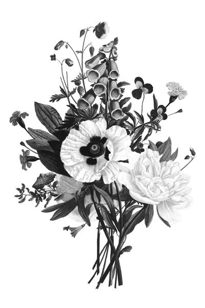 Botanical Illustrations: Botanical Black And White III by Kelly Donovan