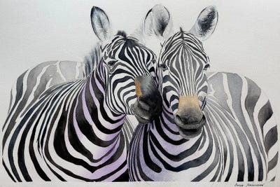 Zebras Cuddle by Lucia Kasardova canvas print