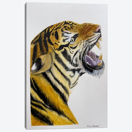 Tiger Meow Canvas Print #KDV10} by Lucia Kasardova Canvas Wall Art
