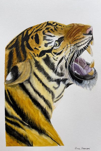 Lucia Kasardova: Tiger Meow by Lucia Kasardova