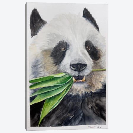 Hungry Panda Canvas Print #KDV11} by Lucia Kasardova Canvas Art