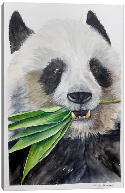 Hungry Panda Canvas Art Print - Lucia Kasardova