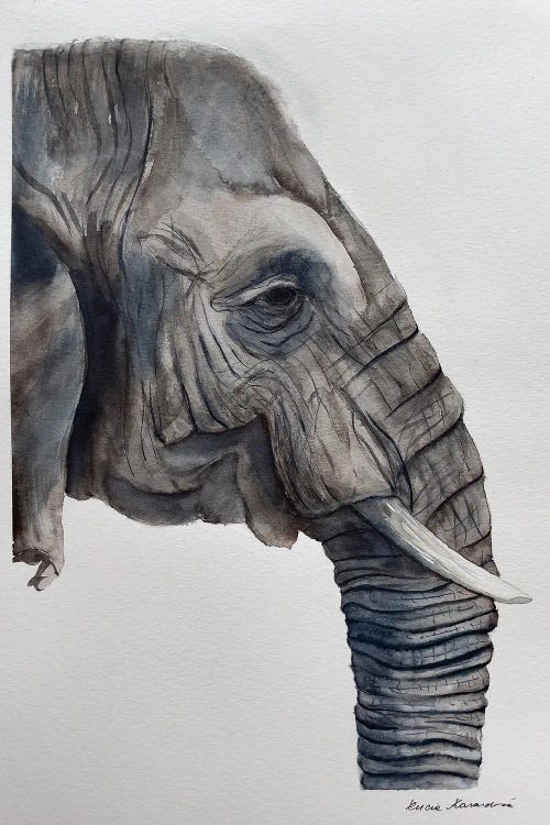 Elephant's Dream by Lucia Kasardova wall art