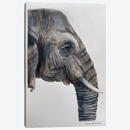 Elephant's Dream Canvas Print #KDV12} by Lucia Kasardova Canvas Artwork