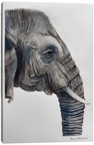 Elephant's Dream Canvas Art Print - Lucia Kasardova