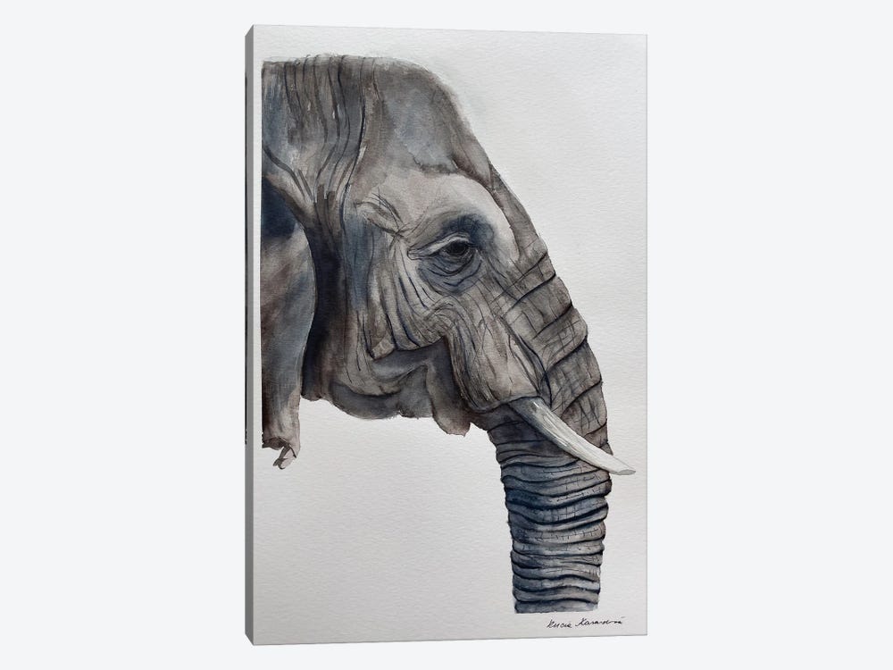 Elephant's Dream by Lucia Kasardova 1-piece Canvas Wall Art
