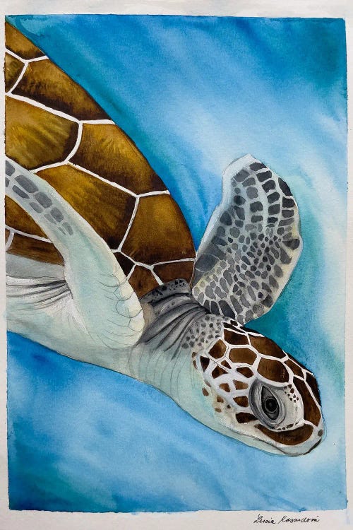 Swimming Turtle by Lucia Kasardova wall art