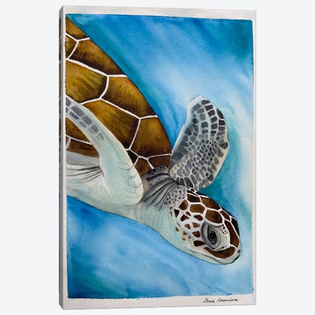 Swimming Turtle Canvas Print #KDV13} by Lucia Kasardova Canvas Art