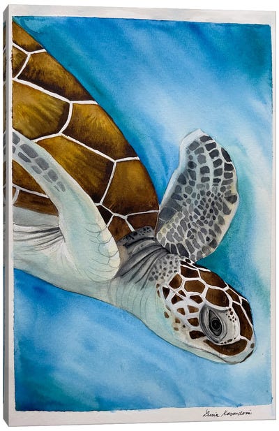Swimming Turtle Canvas Art Print - Lucia Kasardova
