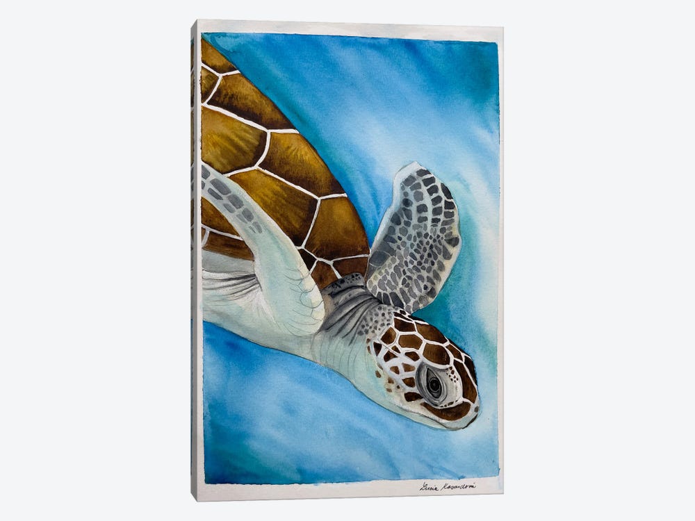 Swimming Turtle by Lucia Kasardova 1-piece Canvas Art Print
