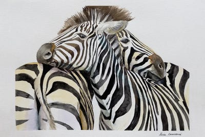 Cuddling Zebras by Lucia Kasardova canvas print