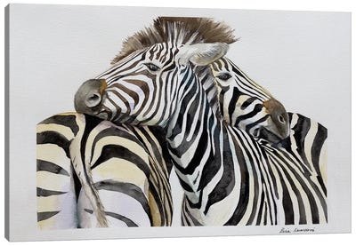 Cuddling Zebras Canvas Art Print - Zebra Art