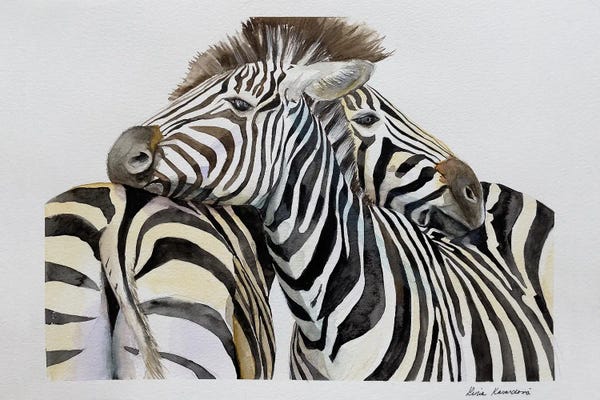 Zebras: Cuddling Zebras by Lucia Kasardova