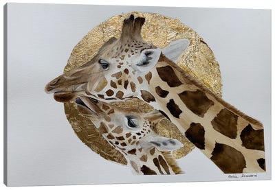 Giraffes In Love Canvas Art Print - Lucia Kasardova