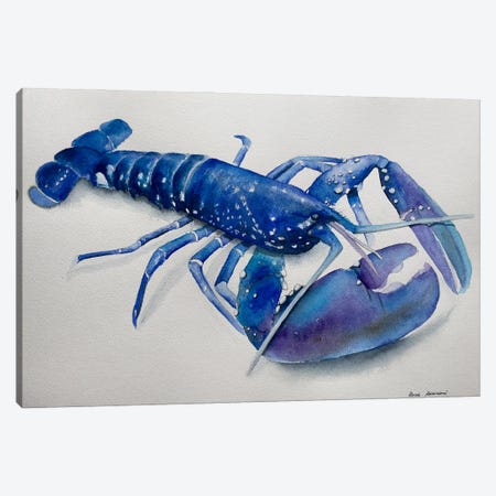Blue Lobster Canvas Print #KDV17} by Lucia Kasardova Art Print