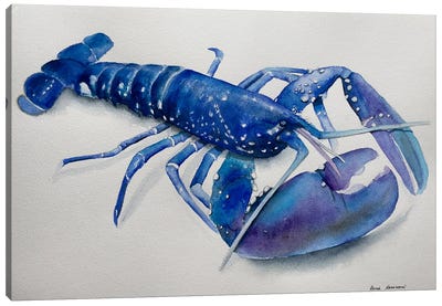Blue Lobster Canvas Art Print - Lucia Kasardova