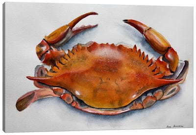 Red Crab Canvas Art Print - Lucia Kasardova