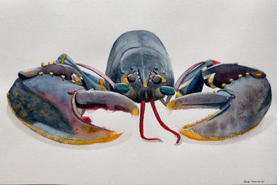 Grey Lobster by Lucia Kasardova canvas print