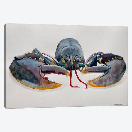 Grey Lobster Canvas Print #KDV19} by Lucia Kasardova Canvas Wall Art