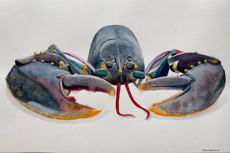 Grey Lobster