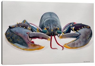 Grey Lobster Canvas Art Print - Lucia Kasardova