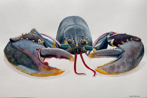Lucia Kasardova: Grey Lobster by Lucia Kasardova